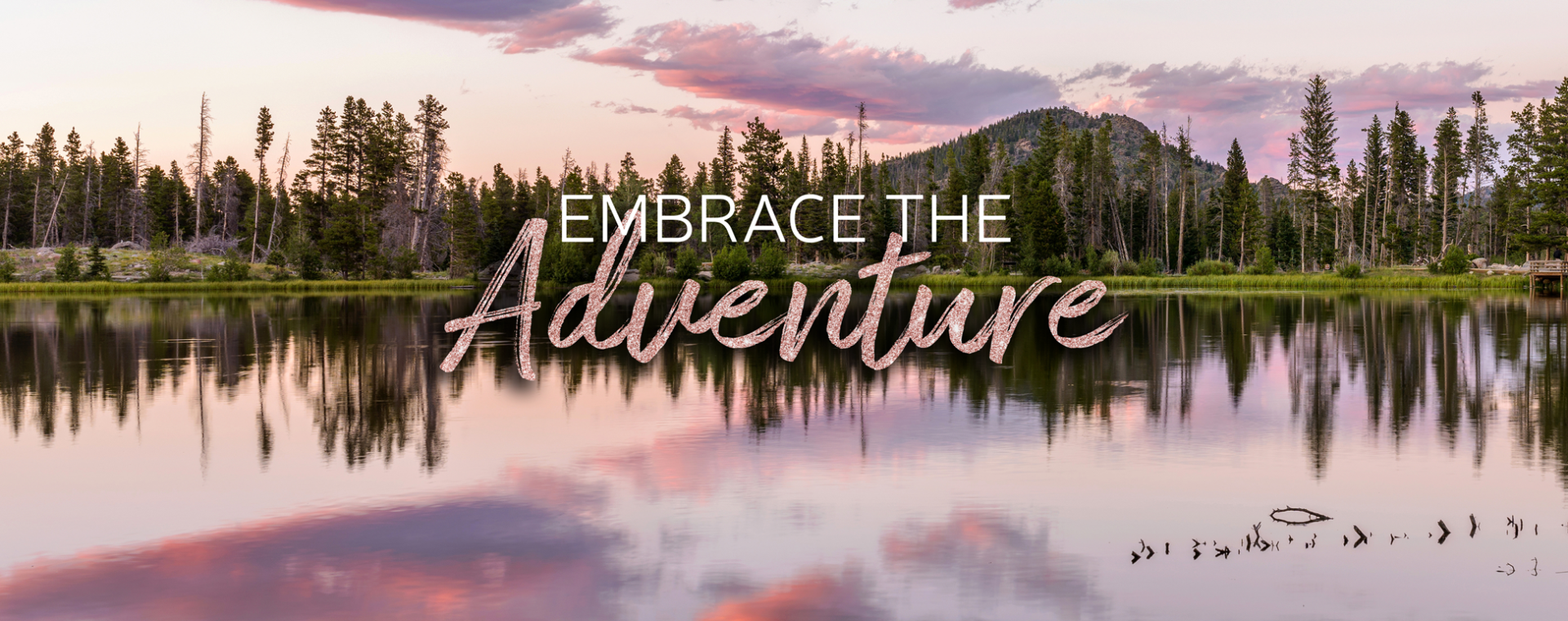 Embrace the Adventure